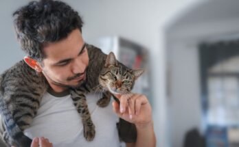 Tips for Forming a Bond with Your Feline Friend Happy Cat, Happy You