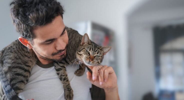 Tips for Forming a Bond with Your Feline Friend Happy Cat, Happy You