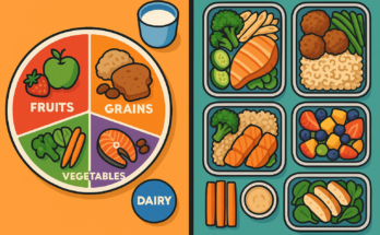 The Art of Daily Nutrition: Building a Balanced Plate for Lifelong Health